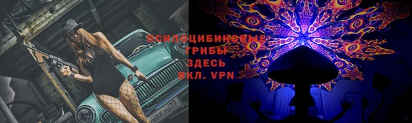 спайс Баксан