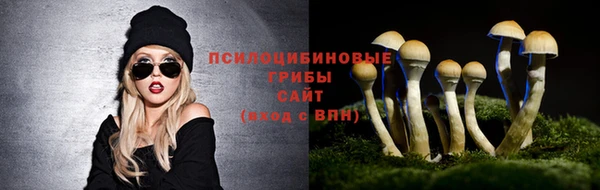 прущие крисы Балабаново