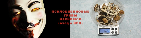 PSILOCYBIN Балахна