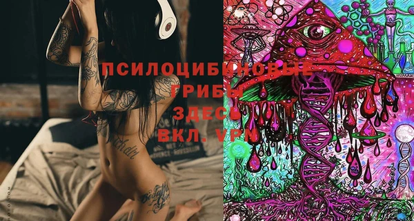 спайс Баксан