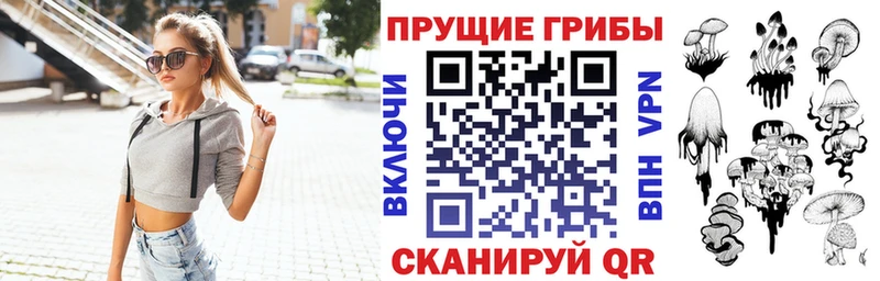Псилоцибиновые грибы прущие грибы  Бердск 